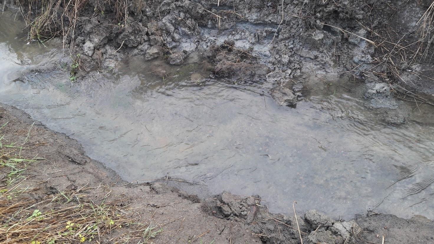 Runoff water in ditch